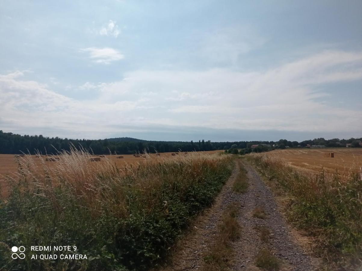 Apartmany Skala Pribram Bagian luar foto